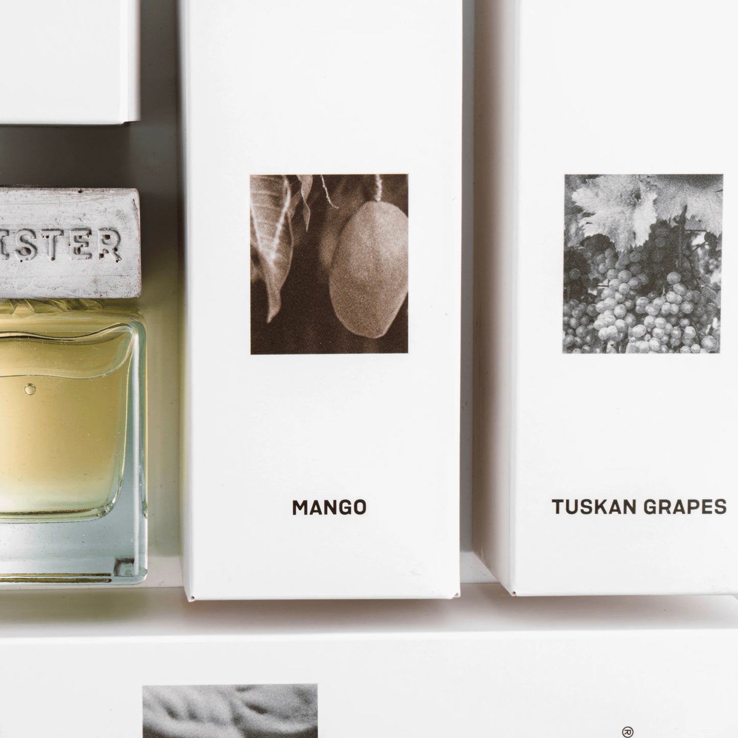HOME FRAGRANCE | TUSCAN GRAPES