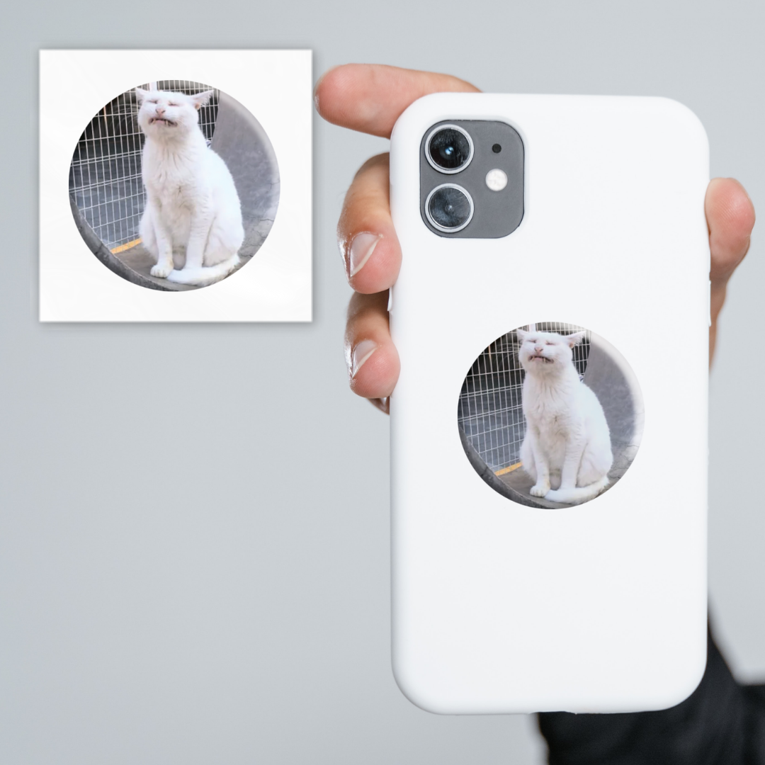 3D Sticker