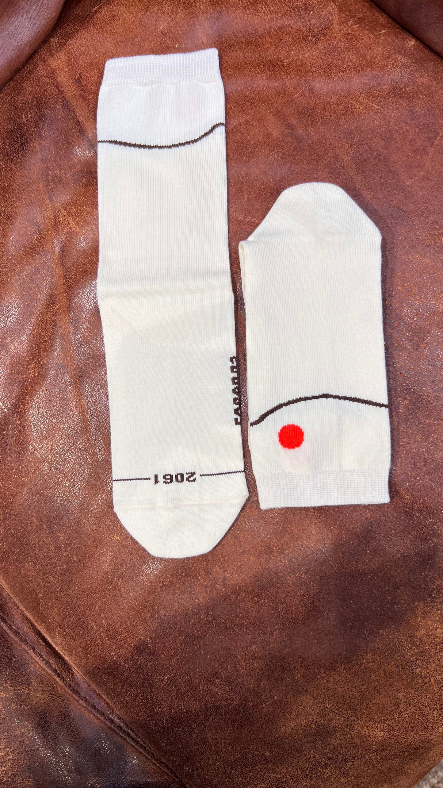 Шкарпетки Goverla