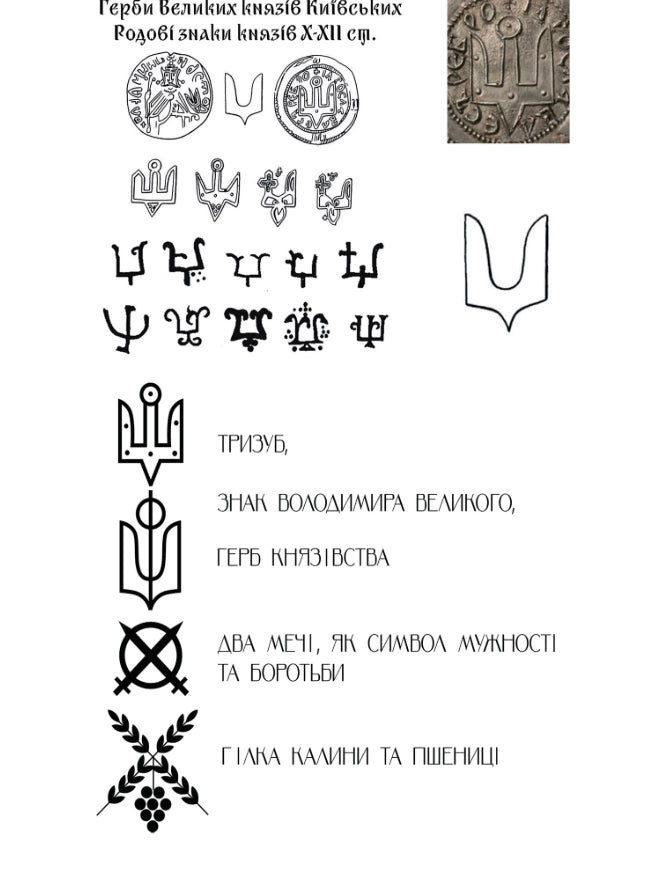 Men's embroidered shirt with symbols of Kyivan Rus 988 Black