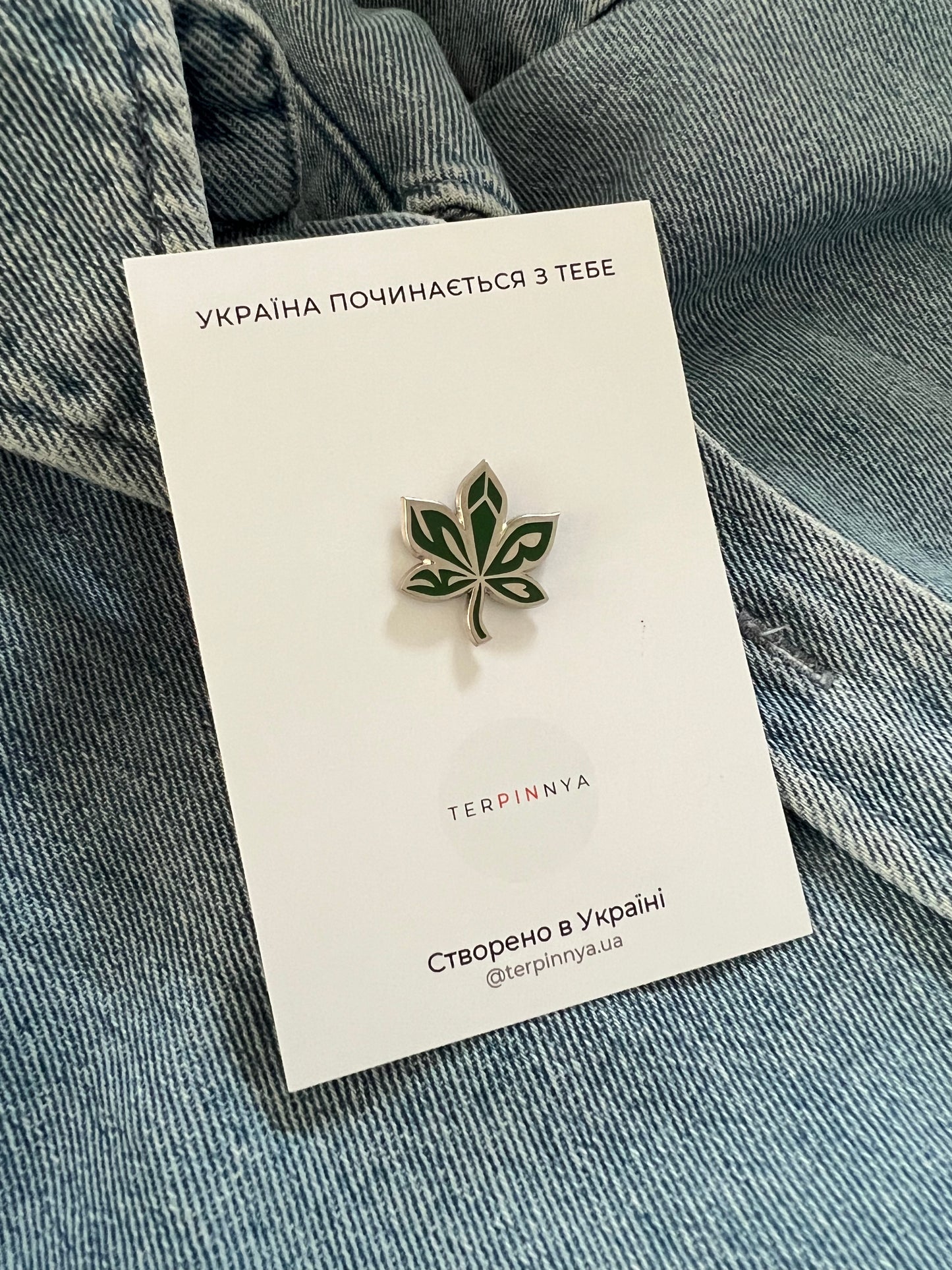 Pin Kashtan
