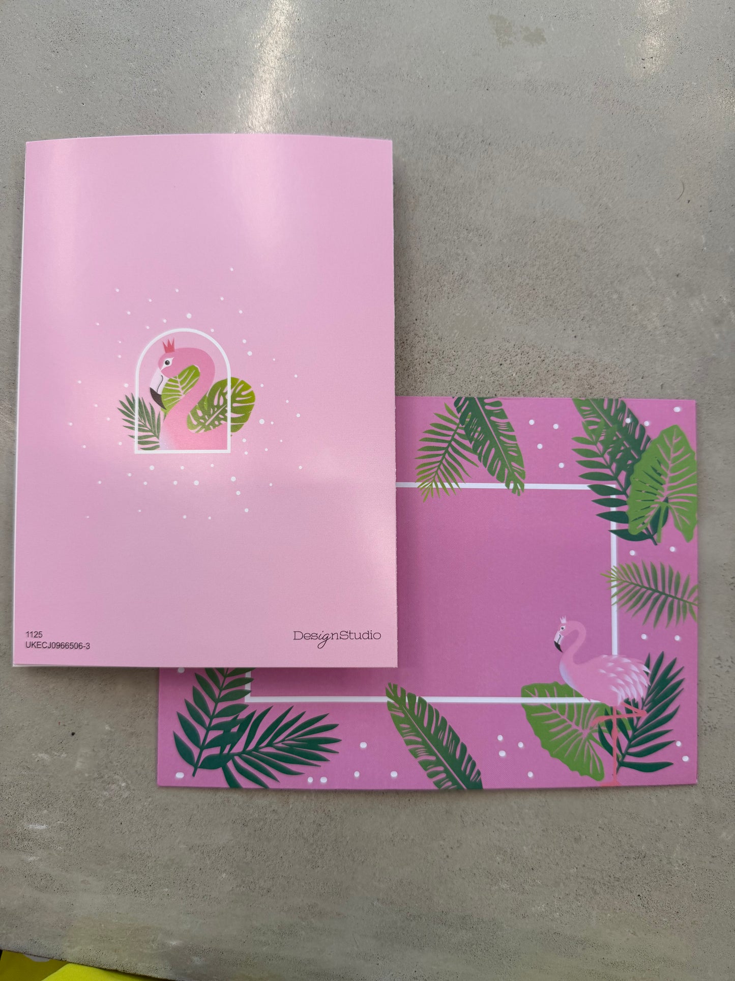 Postcard Flamingo