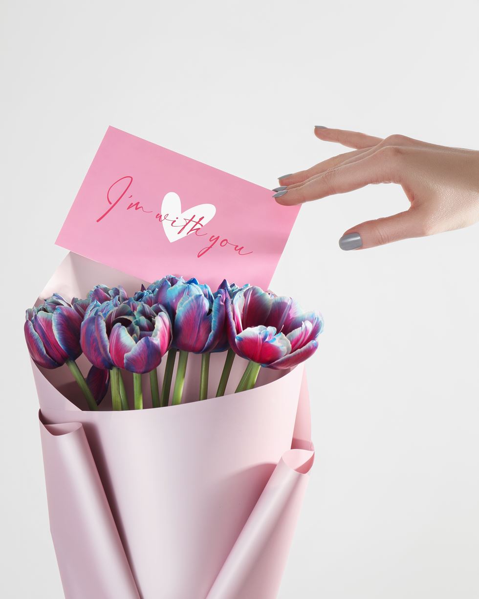 Your special postcards | for any occasion