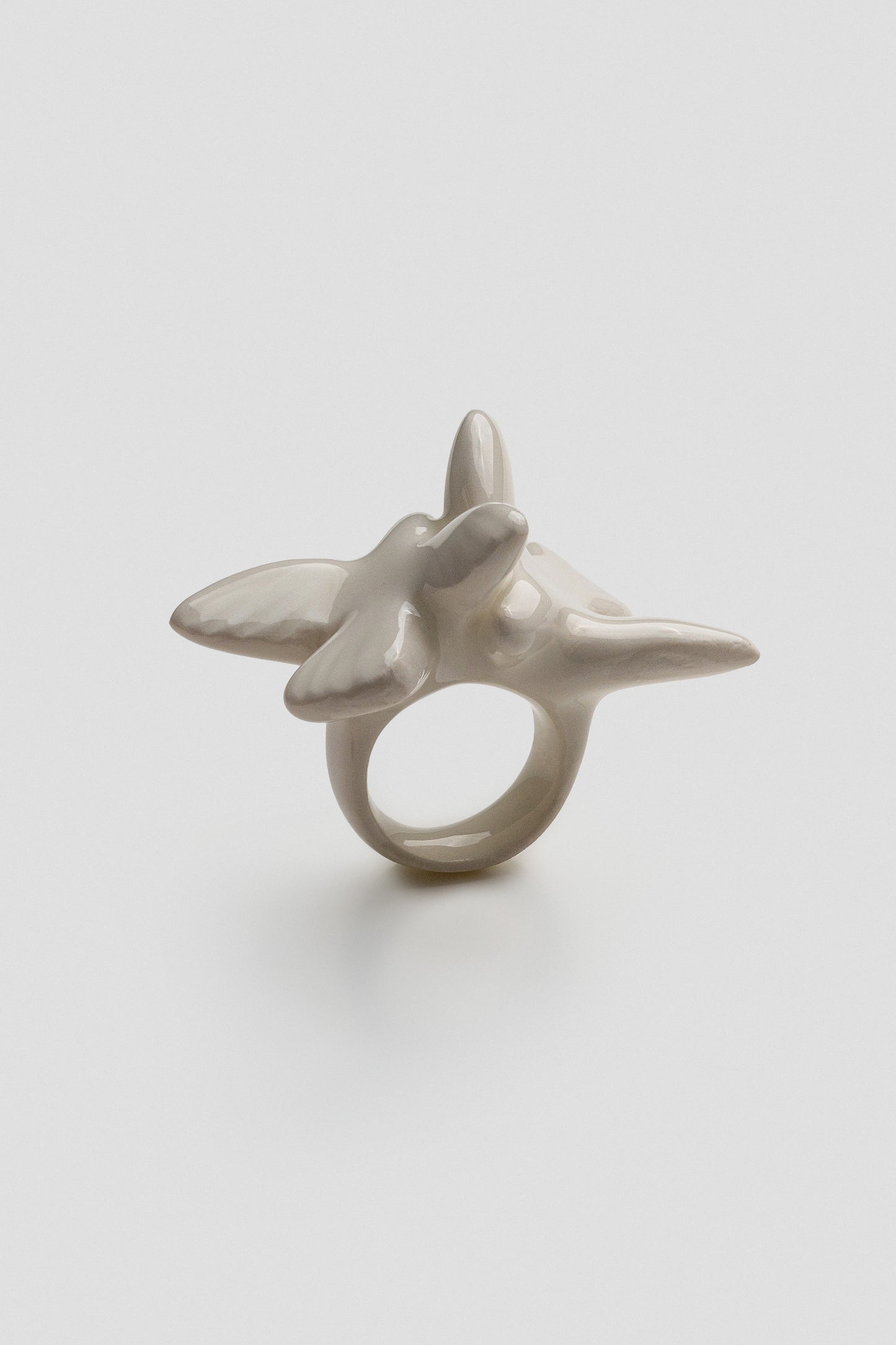 [M Y R N I] porcelain ring with two birds