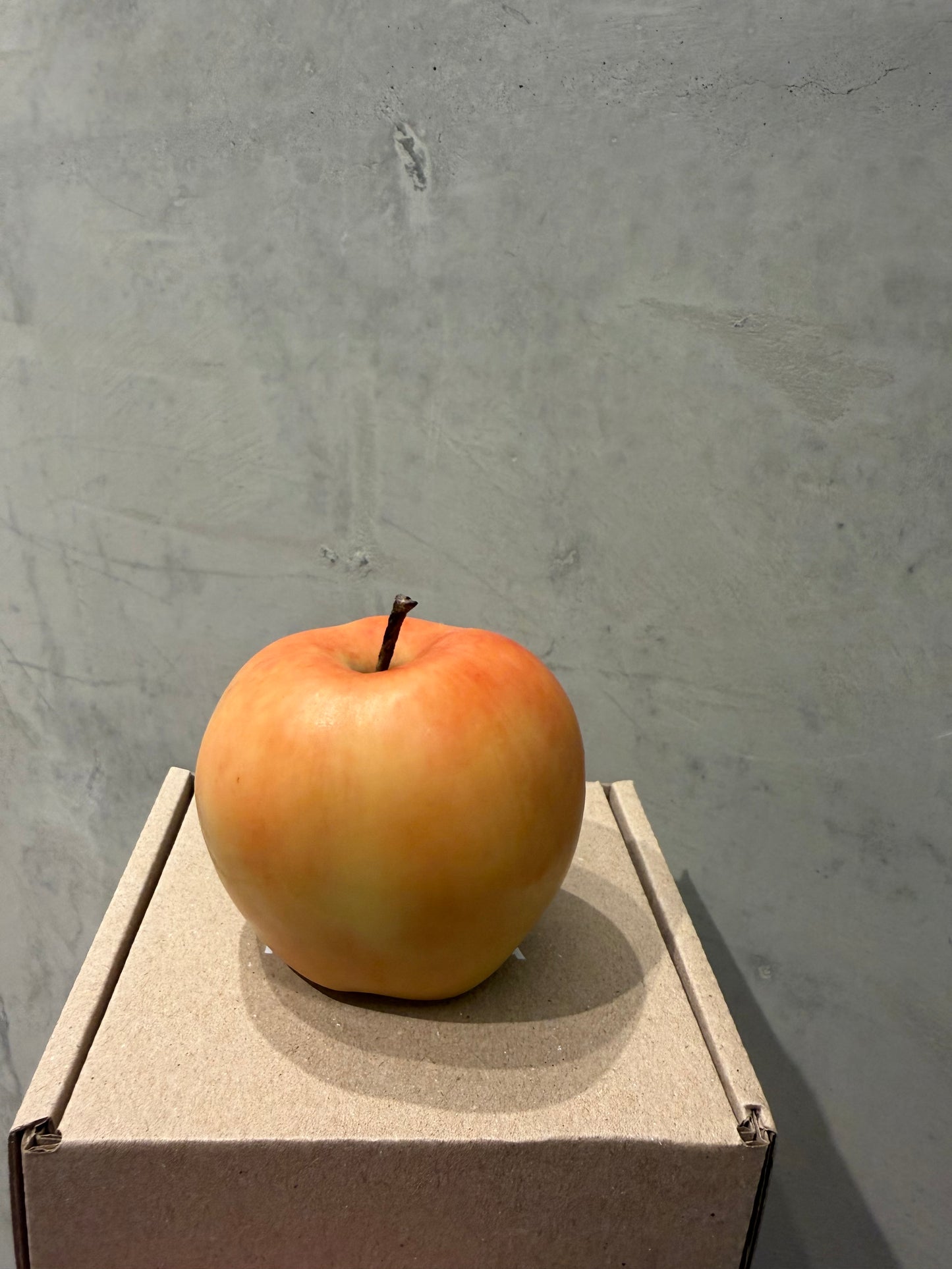 Apple and Pear  beeswax candle