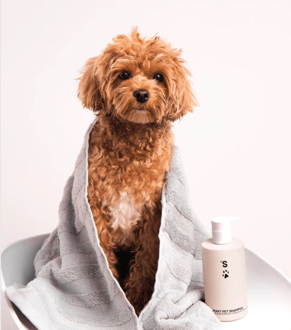 SMART PET SHAMPOO