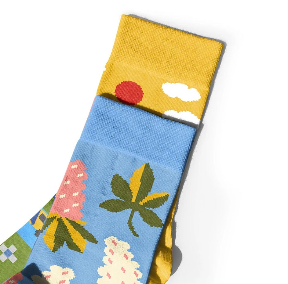 Socks "Spring Kyiv"