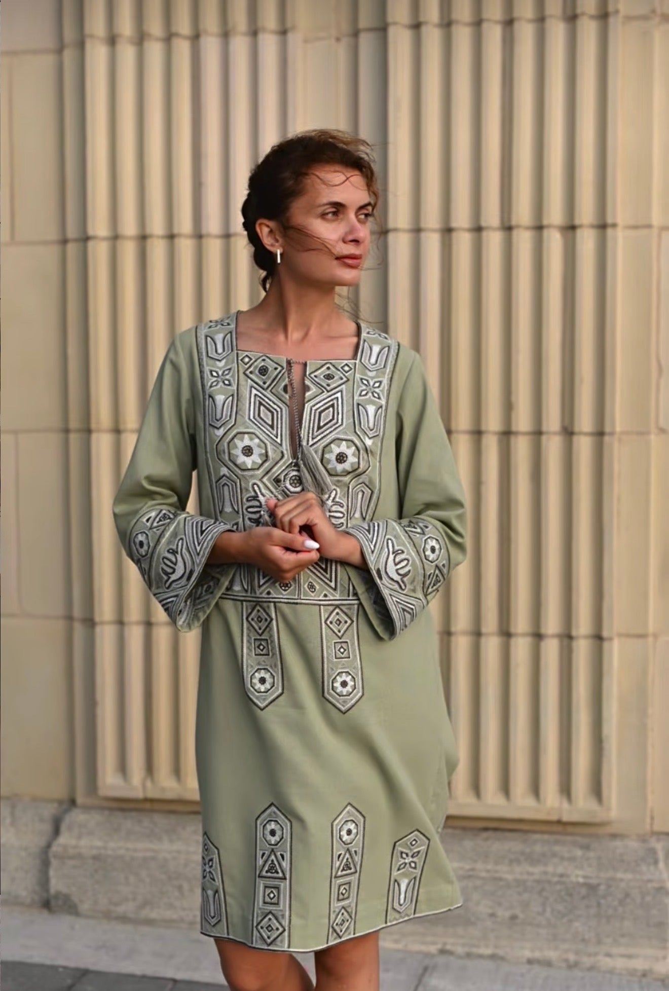 Embroidered dress “Ukrainian motifs”
