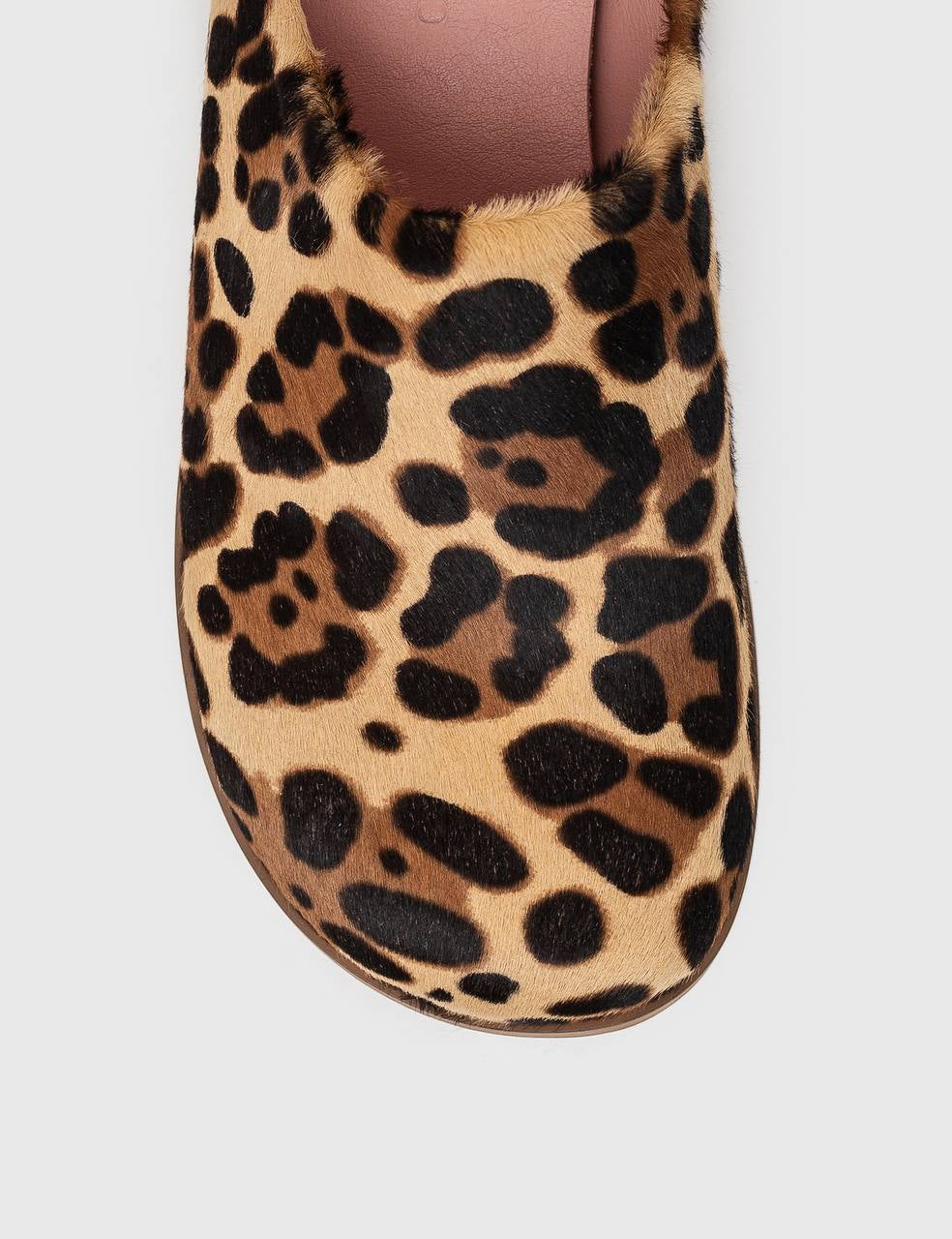 Anatomical Leopard Mules Suede Mules