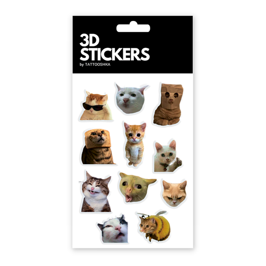 Cats